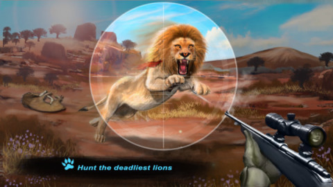 狮子狩猎狙击