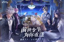 大佬入坑看新服 《猫之宿约者》新服开启 最新版下载奉上