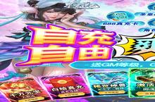 星云纪-GM自由充电脑版 电脑玩星云纪-GM自由充<em>模<em>拟器</em></em>下载、安装攻略教程