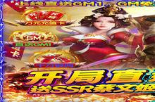 魔塔与英雄（GM钱包提充）电脑版 电脑玩魔塔与英雄（GM钱包提充）模拟器下载、安装攻略教程