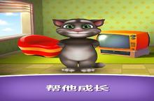说话的汤姆猫：小白玩家的百搭攻略，轻松打出伤害