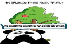 脑洞大作<em>战</em>：最强英雄排行揭秘，谁才是<em>真正</em><em>的</em>王者？