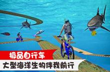 极品<em>自<em>行车</em></em>人物选择指南：谁才是真正的赛道王者？
