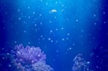 《治愈的水母养》怎么下载 2025最新如何下载治愈的水母养官方安卓包？