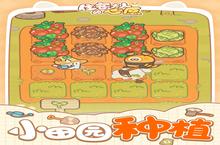 《住客大人的心愿》又双叒开新服 小伙伴们一起来下载吧