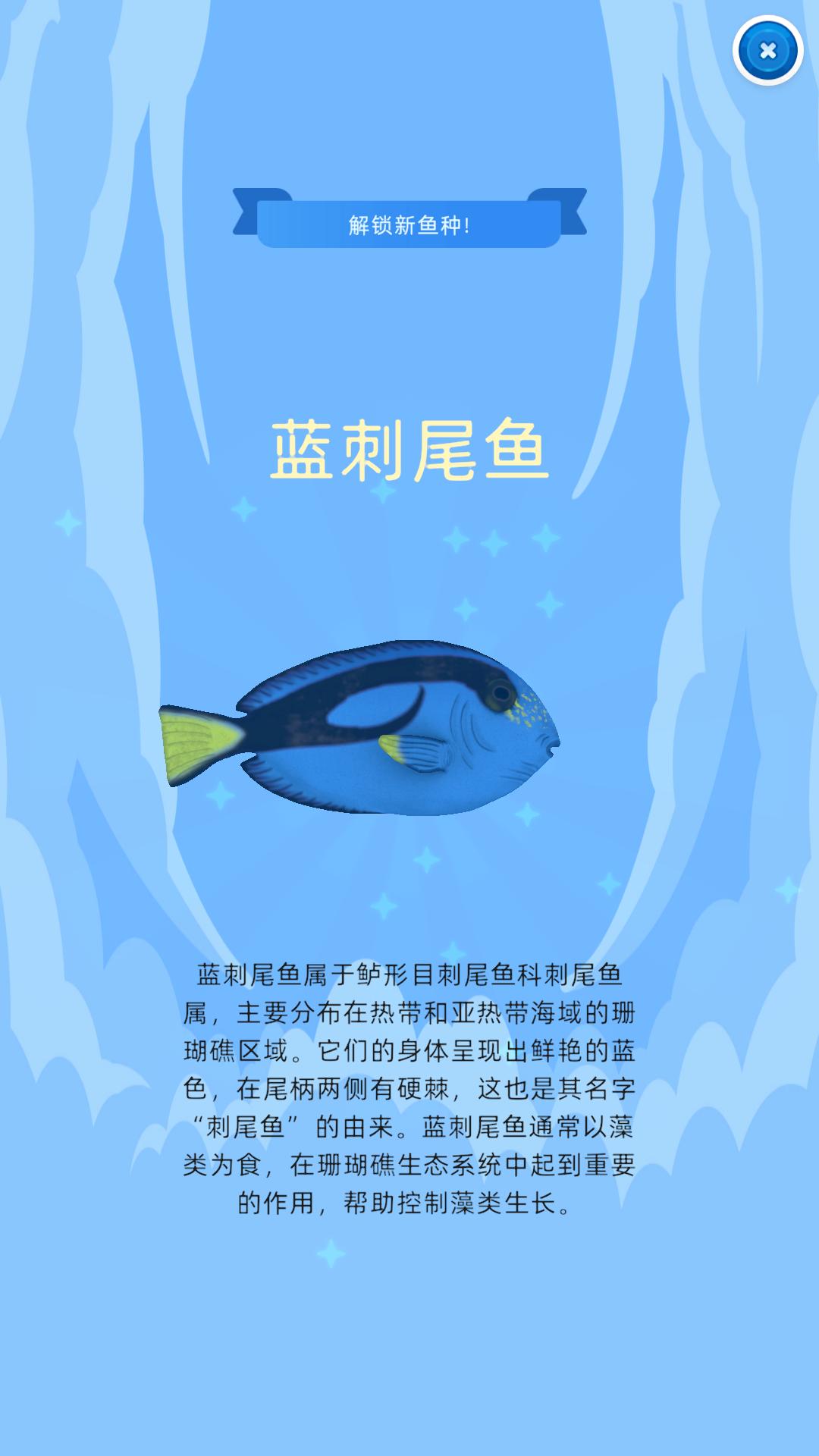 我的海洋