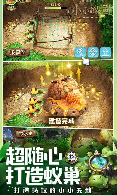 小小蚁国