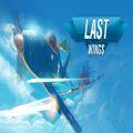 <em>LastWi</em>
