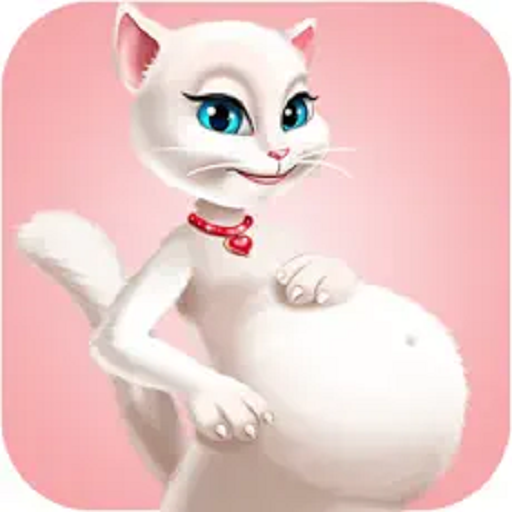<em>猫猫</em><em>怀孕</em><em>看医</em>