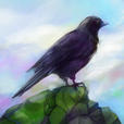 <em>鸟群</em><em>翱翔</em>