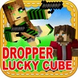 <em>DROPPE</em>
