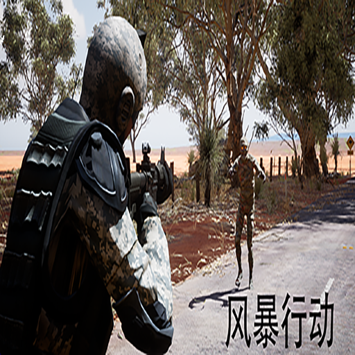 风暴<em>行动</em>