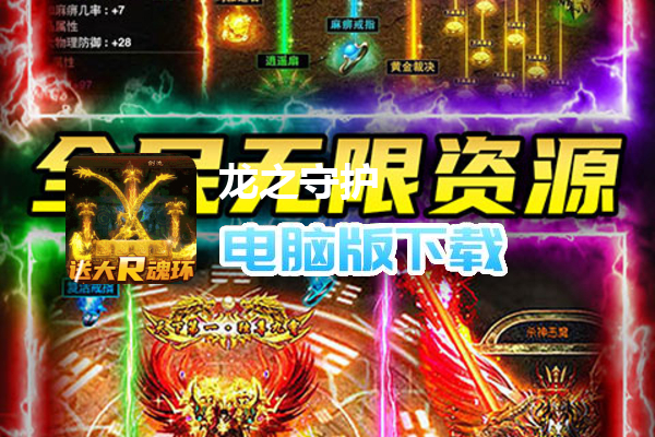 龙之守护（斗罗无限版）