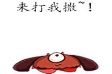 《噜<em>巴</em>冒险季》超屌玩法首次大曝光，虐爆手残党