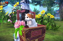 《九阴真经3D》新版“侠客行”短评 萌猫相伴骑行天下