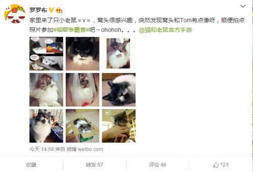 猫和老鼠官方手游喵唧争霸赛微博晒照1