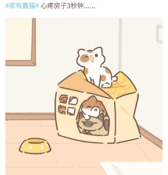 遇见你的猫好玩吗？游戏试玩评测[多图]图片3