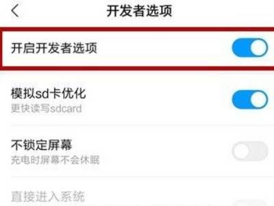 小米手机开发者选项在哪个位置打开