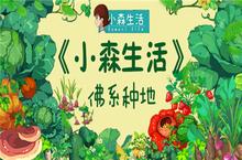 如何做一名合格的地主 来《小森生活》佛系种地