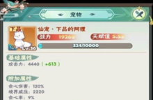 <em>弓箭</em>大冒险宠物哪个好 宠物推荐介绍