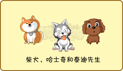 ☆全新道具：哈士奇/泰迪/柴犬先生☆