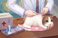 喵与筑怎么和小猫<em>互动</em> 和小猫玩耍方法介绍