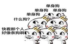 双十一<em>单身</em>节到了 请关爱身边的<em>单身</em>狗