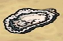 黑暗料理王生蚝攻略 生蚝出处怪物及菜谱配方