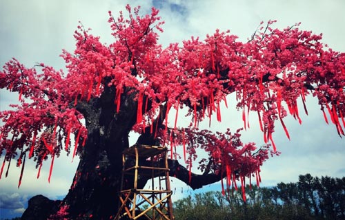 三生三世十里桃花宣传图三