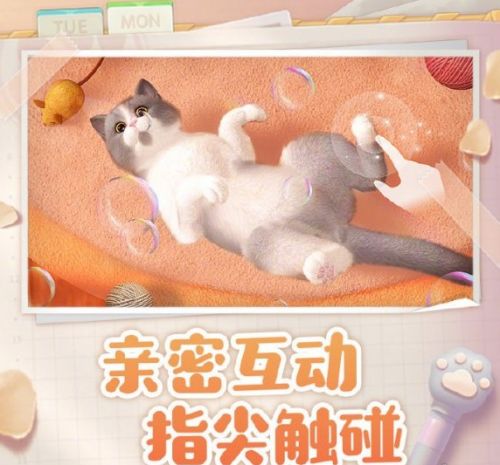 西山居公布治愈养猫手游《我和我的猫》