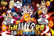 《龙珠传奇（GM全免千抽）》手游盒子经典回合制手游合击系统攻略！