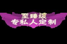 《命运先锋》<em>定制</em>称号活动（线下申请）