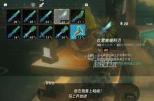 塞尔达王国之泪武器<em>组合</em>攻略