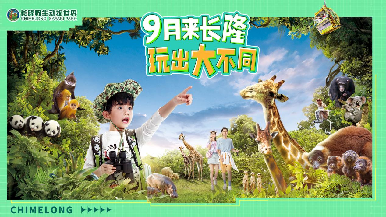 梦幻西游2
