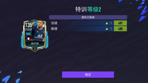 FIFA足球世界10