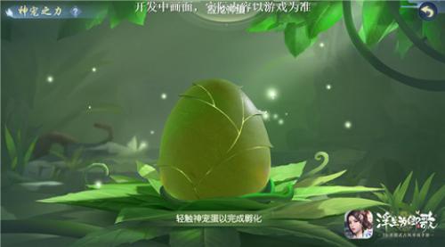 浮生为卿歌2