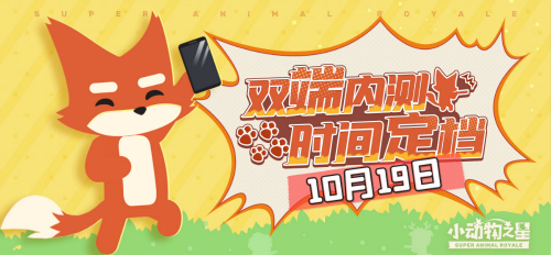 小动物之星