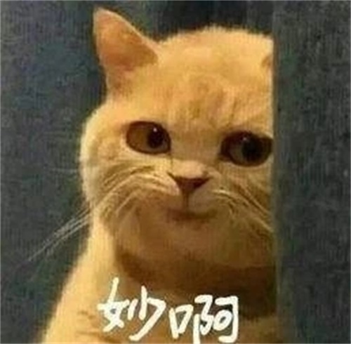 星之轨迹3