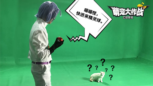 萌宠大作战：口袋妖怪4
