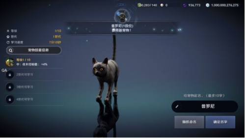 黑色沙漠手游黑色瘦猫任务完成攻略4