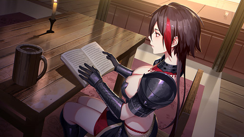 姬魔恋战纪