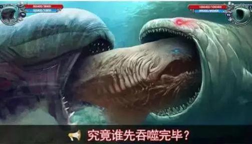 魔域口袋版