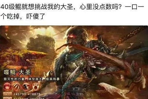 魔域口袋版2