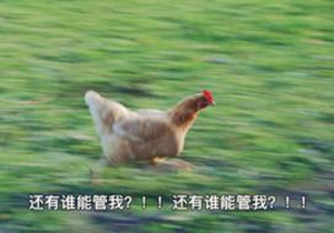 英雄来挂机插图3