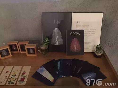光·合——国际数字媒体艺术展照片3