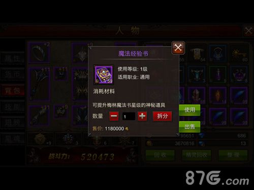 全民奇迹MU魔法经验书