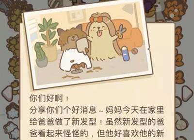 动物餐厅约克夏宝宝信件
