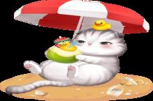 《甜甜的你》手游盒子猫猫情报站丨<em>猫咪</em>养成玩法