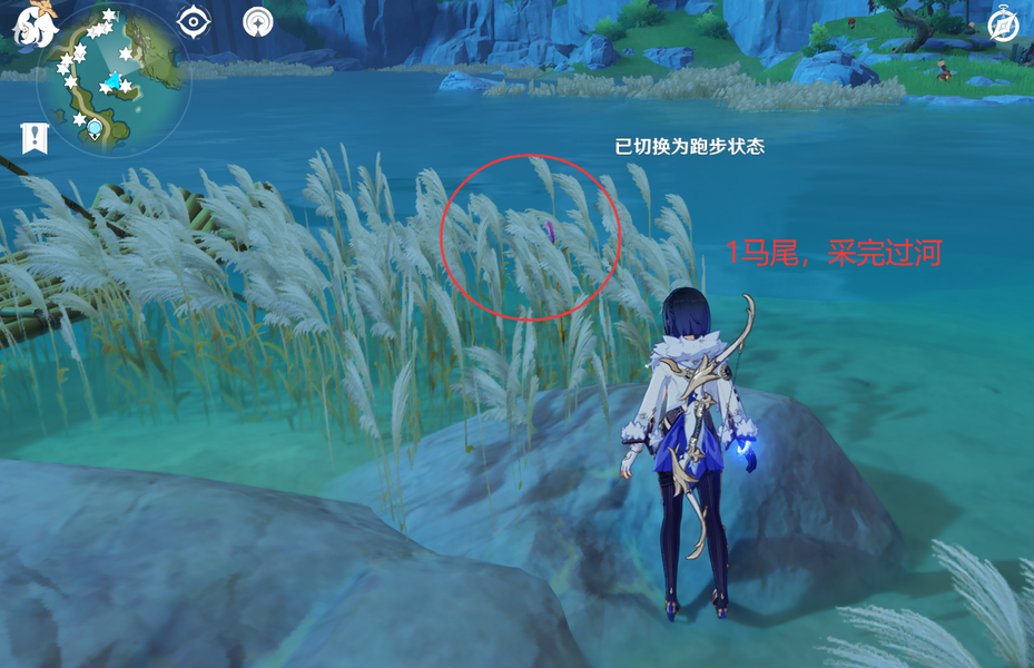 原神荻花洲的马尾有什么用