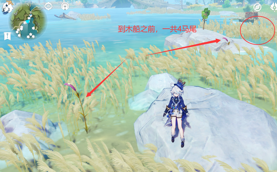 原神荻花洲的马尾有什么用